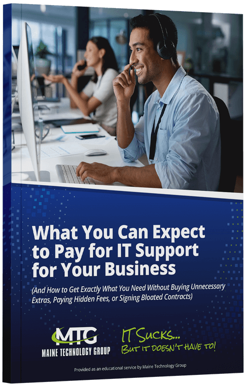 The State of Maine CEO Guide To IT Support And Services